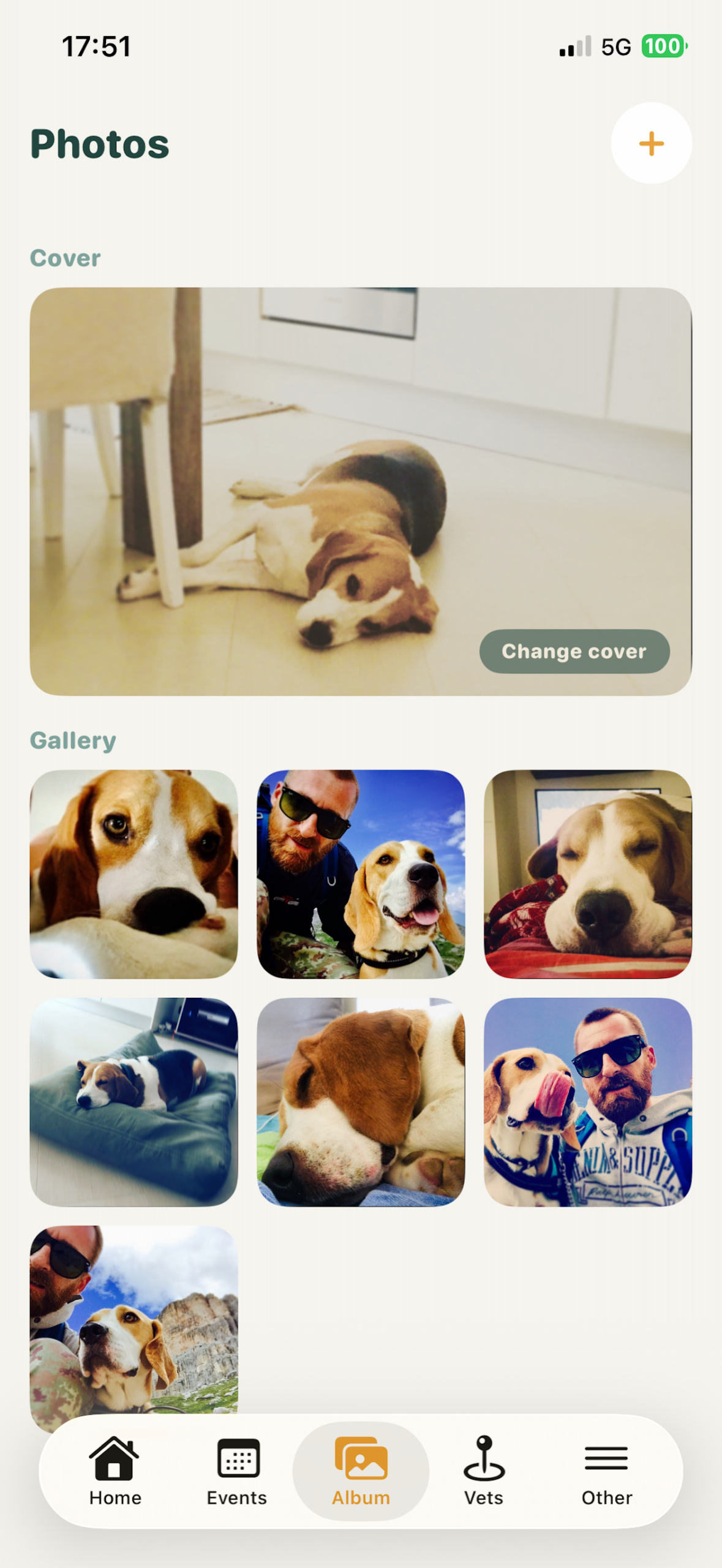 Photo album in Friendly